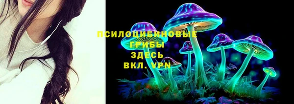 а пвп мука Абаза