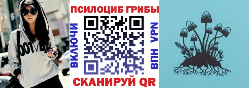 Галлюциногенные грибы прущие грибы Данилов