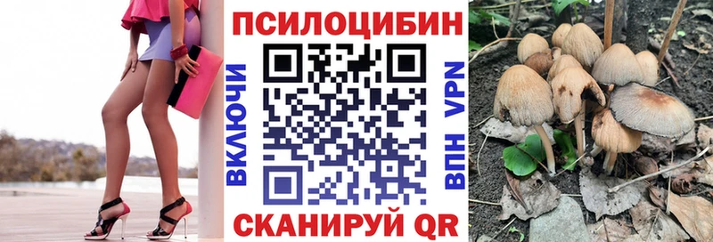 хочу наркоту  Данилов  Псилоцибиновые грибы MAGIC MUSHROOMS 